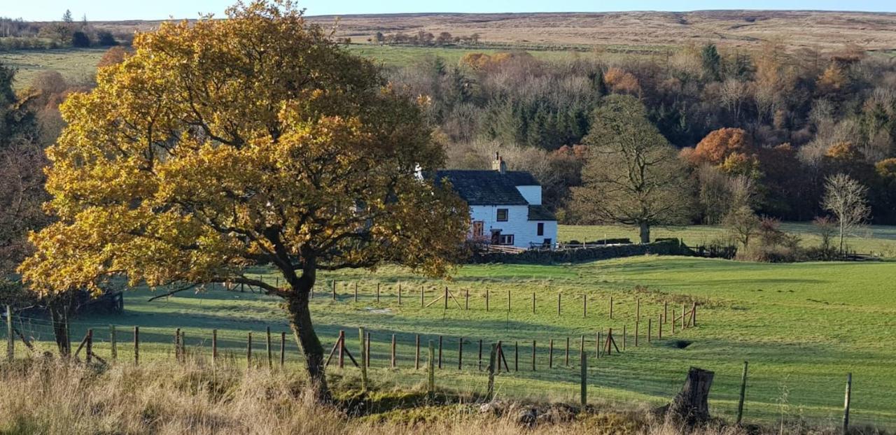Lower Turnerford Farmhouse Newby  Eksteriør bilde